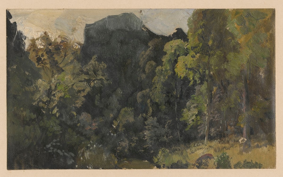View of streamside marshland in the Szczawnik valley 1850 1881