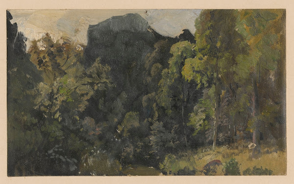 View of streamside marshland in the Szczawnik valley 1850 1881