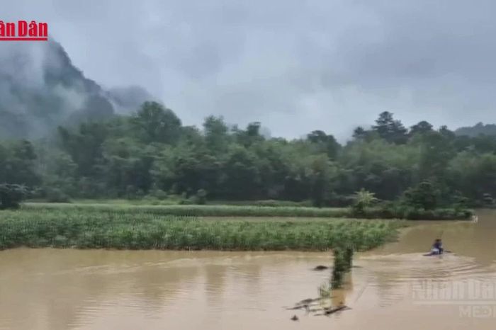 [Video] Mưa hơn 300mm gây ngập sâu tại Cao Bằng, ô tô khách bị lũ cuốn trôi - Báo Nhân Dân