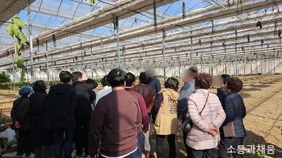 네이버 블로그 사진