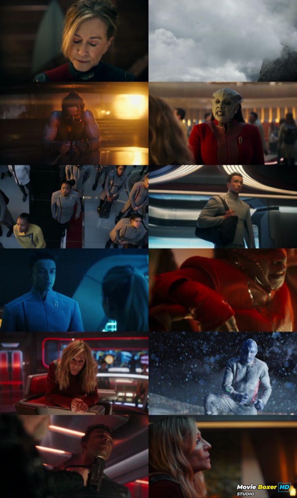 Screenshots Grid