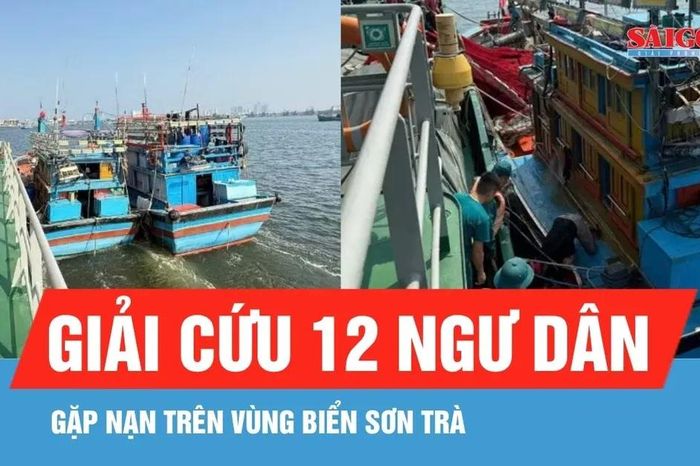 Ứng cứu tàu cá bị thủng đáy trên vùng biển Sơn Trà - Báo Sài Gòn Giải Phóng