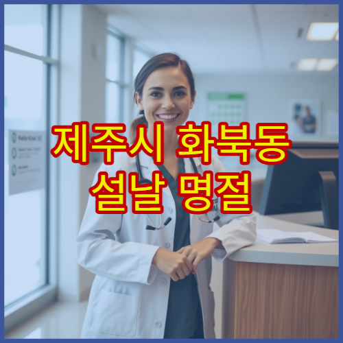 제주시 화북동 설날 명절 응급의학과 운영 병원 연휴 응급실 이용 가능 정보