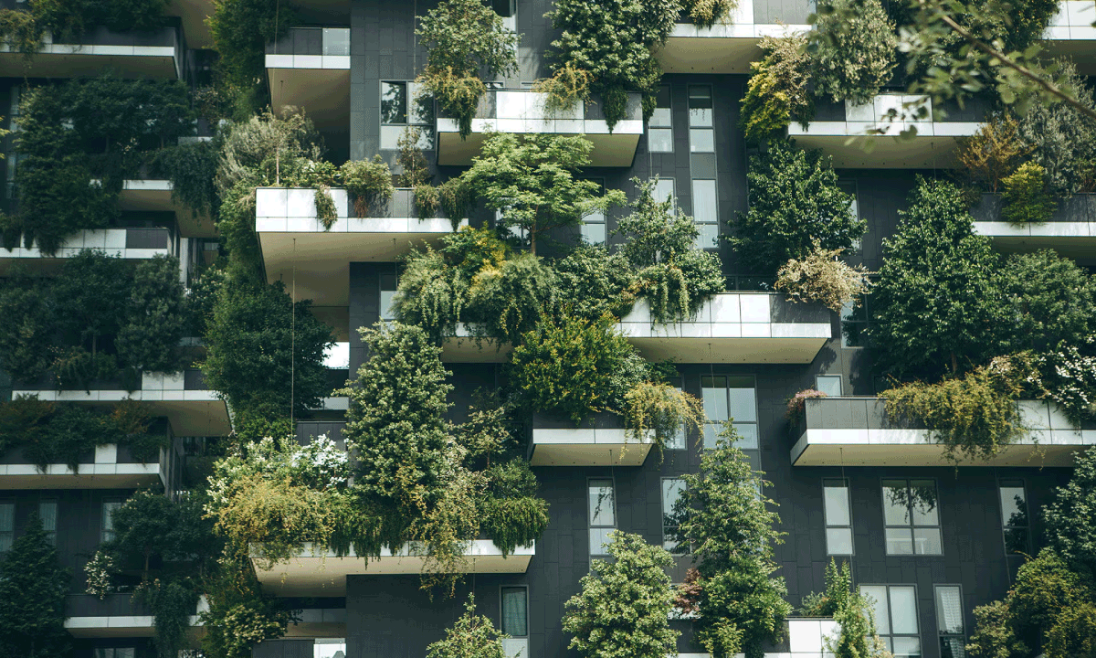 Estrategias sostenibles que impulsan el lujo hotelero y el valor de marca