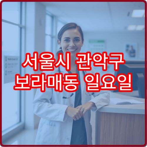 서울시 관악구 보라매동 일요일 소아청소년과 진료 병원