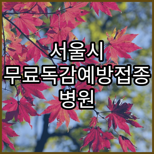 서울시 무료독감예방접종 병원 확인하기