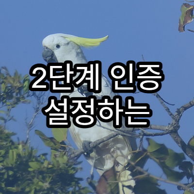 2단계 인증 설정하는 이유와 방법