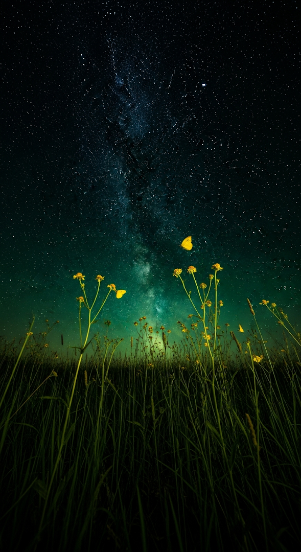 Magical Vertical Starry Night over Meadow with Yellow Flowers and Butterflies
