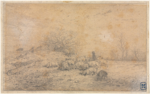 Herd of Pigs c 1845