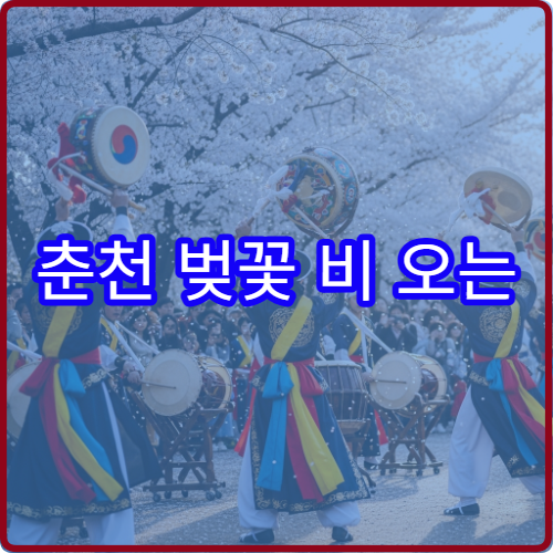 춘천 벚꽃 비 오는 날 대체 소양강 카페 테라스 뷰 명소