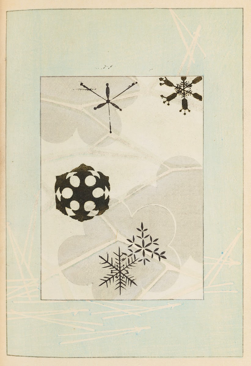 Shin Bijutsukai Pl204 1901 1902