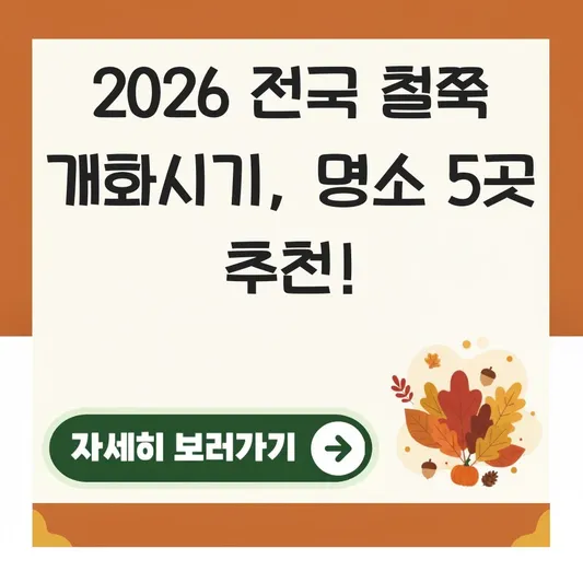전국 철쭉 개화시기 및 명소 추천