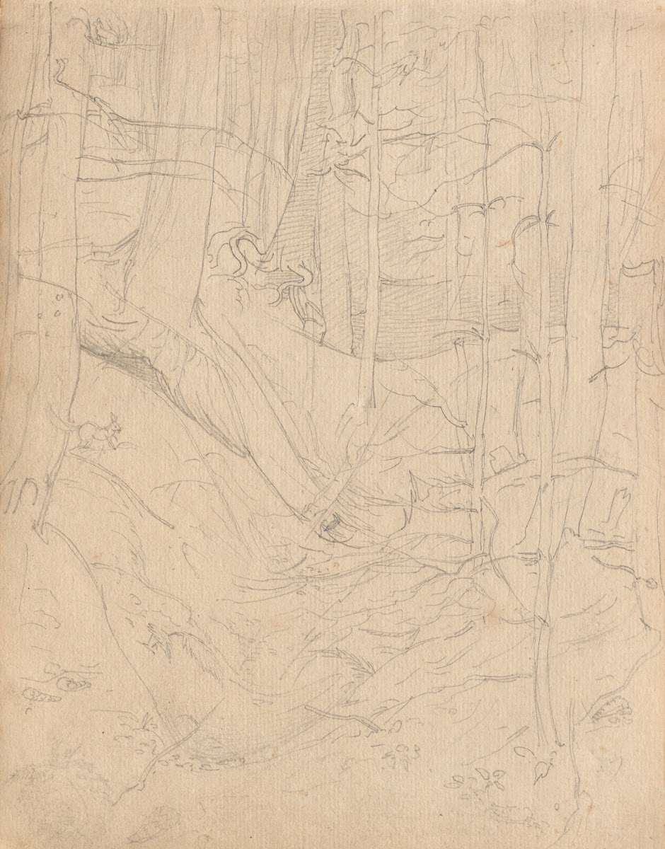 Album with Views of Rome and Surroundings Landscape Studies page 01a Roman Lands