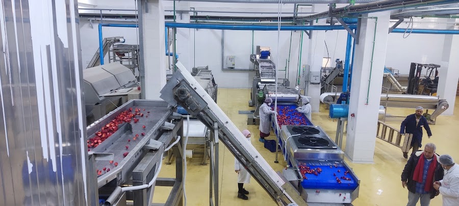SANAM Engineering Industries — food processing and material handling project 35