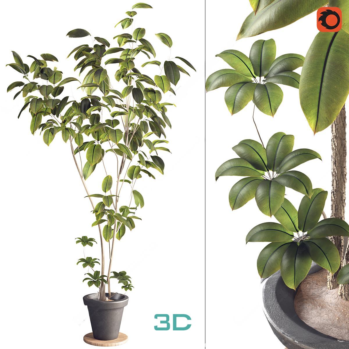 978.Sell Album Indoor Plant PRO Vol 01