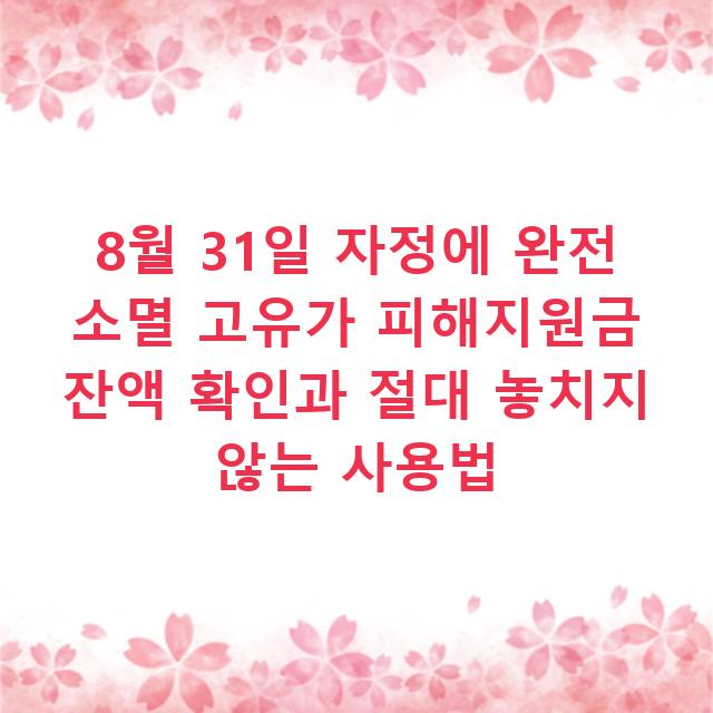 8월 31일 자정에 완전 소멸 고유가 피해지원금 잔액 확인과 절대 놓치지 않는 사용법
