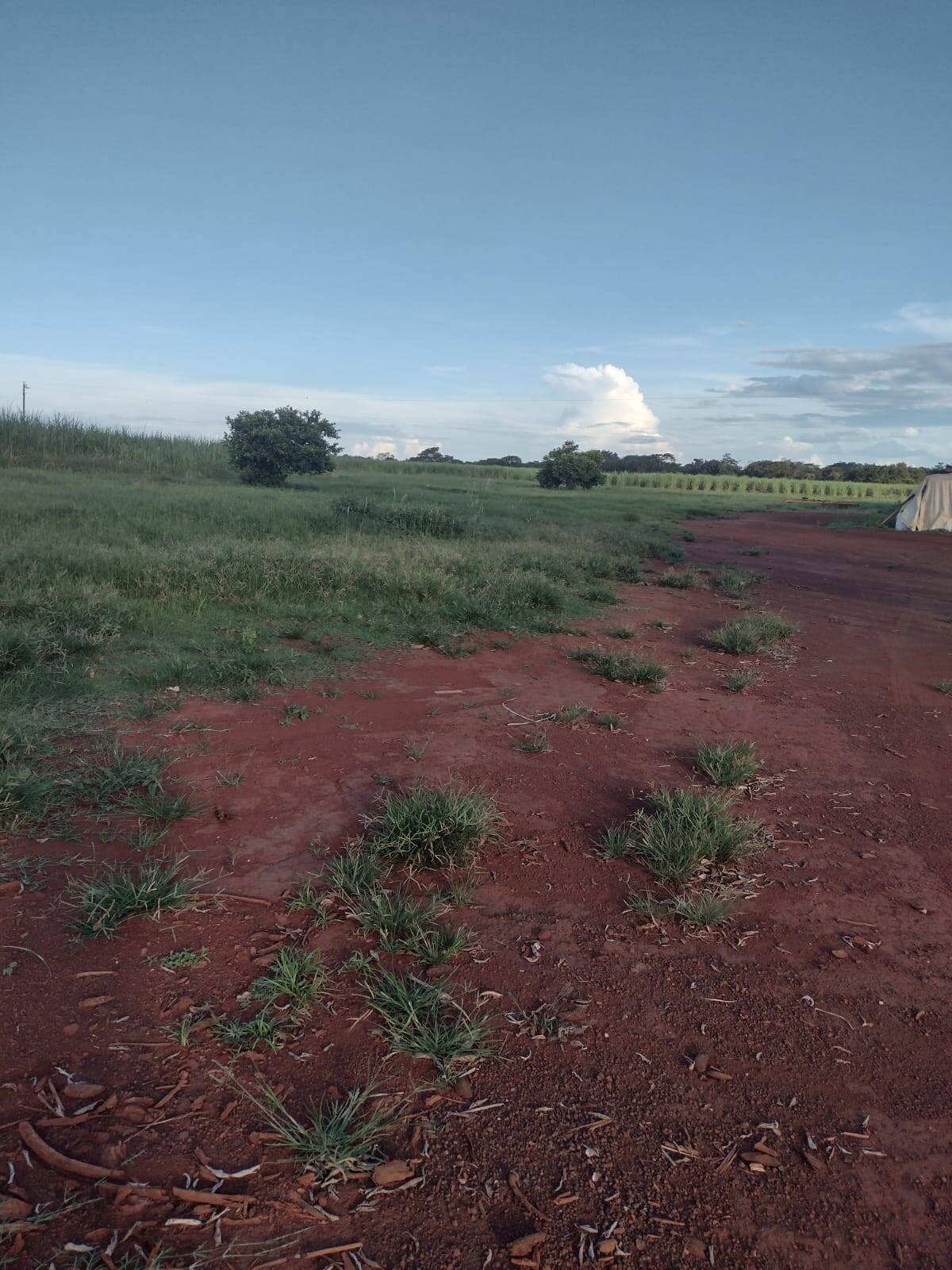 Fazenda no Sudoeste Goiano 2