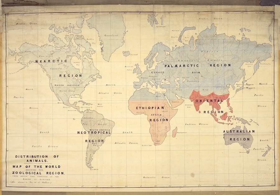 1887_[動物分布図]