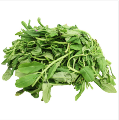 GREEN LEAVES