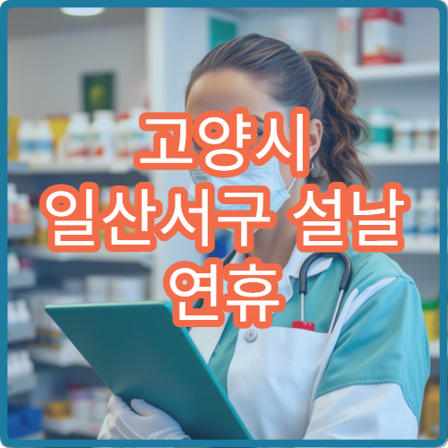 고양시 일산서구 설날 연휴 내과 진료 가능한 의료기관