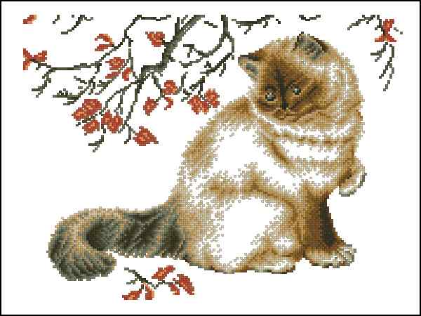 CMP 400076 Pensive Cat