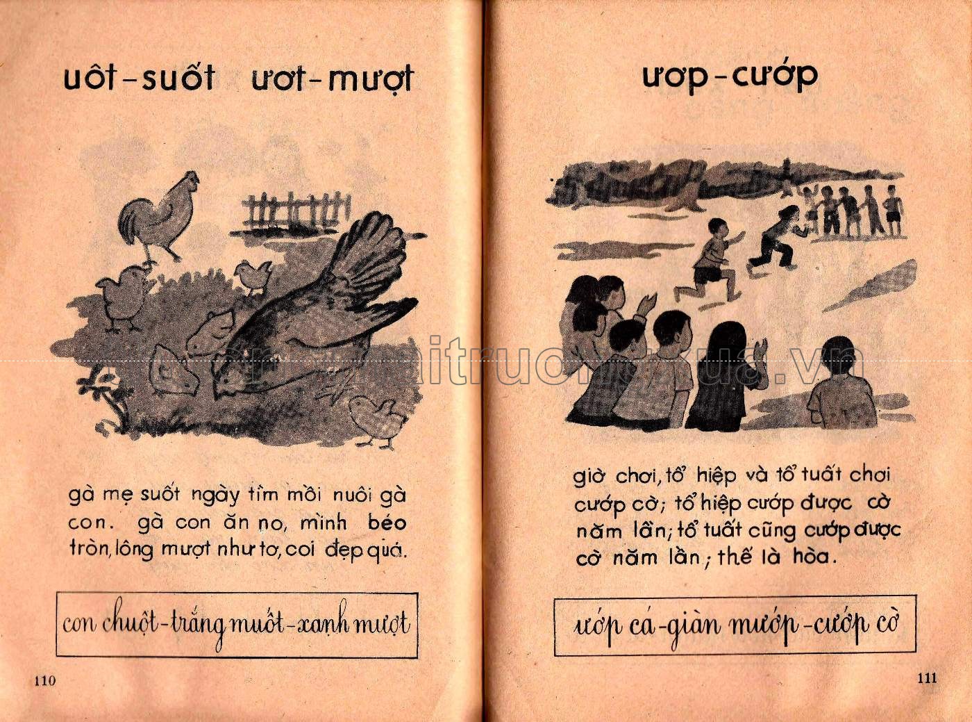 Học vần  - Trang 53