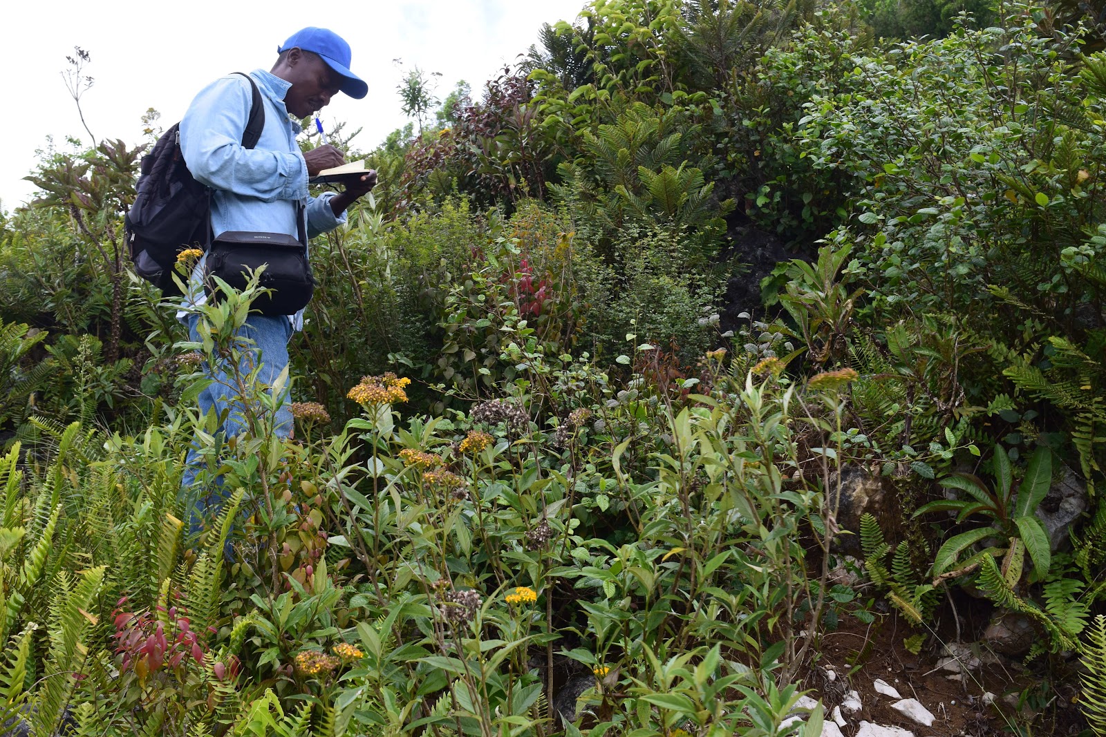 Science et conservation