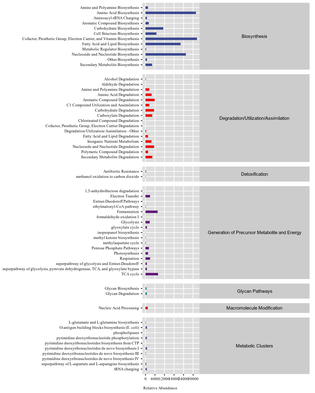 Diversity Analysis and Functional Prediction of Endophytic Bacteria in Different Tissues of Duchesnea indica Based on Illumina High-Throughput Sequencing