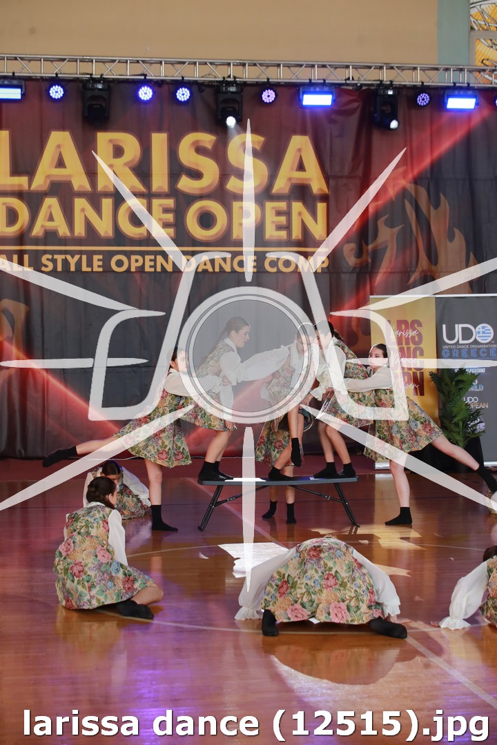 larissa dance (12515).jpg