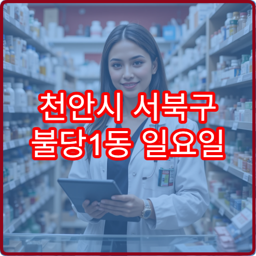 천안시 서북구 불당1동 일요일 이용 가능한 당직 약국 정보