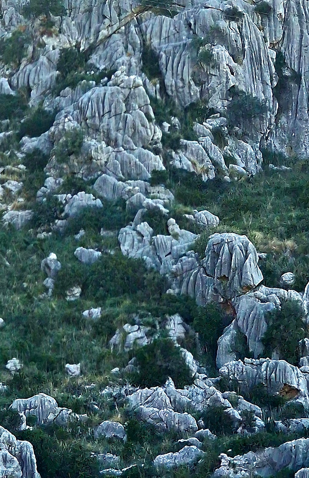 Photo de l’escale Palma