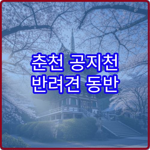 춘천 공지천 반려견 동반 벚꽃길 산책 안전 구간 안내