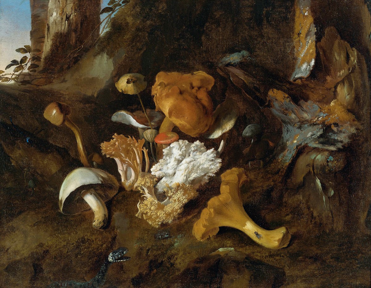 Forest Floor Still Lifes With Mushrooms Butterflies And A Snake