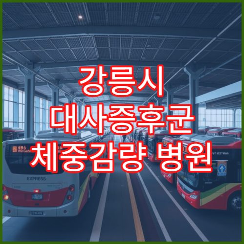 강릉시 대사증후군 체중감량 병원 3개월 허리둘레 감소 사례