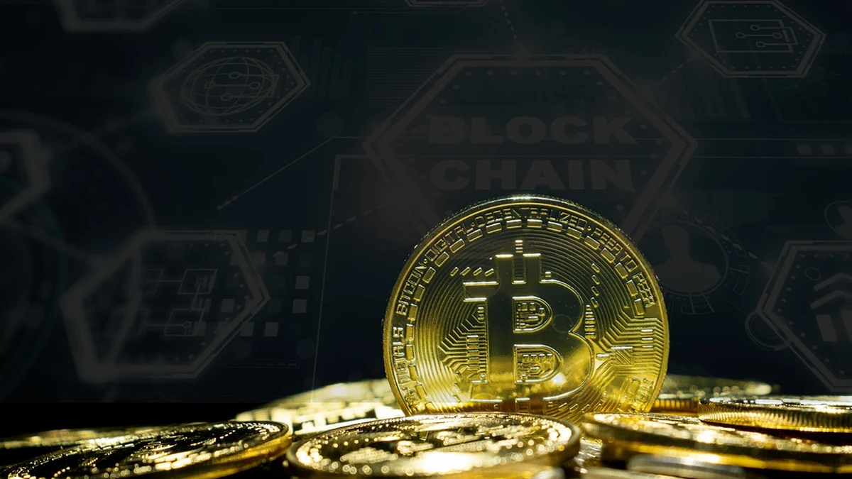 토큰과 코인의 구조적 차이 및 시장 내 기능 구분