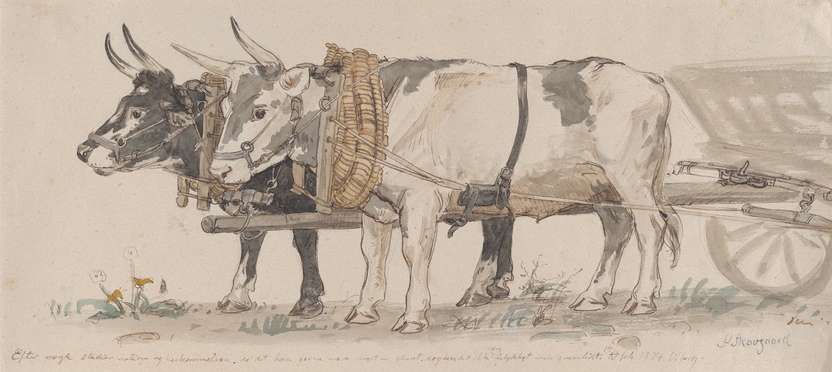 Two Oxen Pulling a Cart 1874
