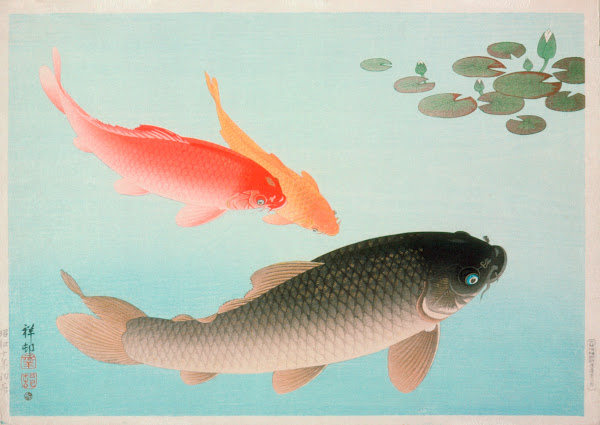 Common And Golden Carp 1935