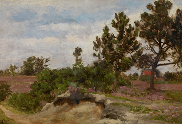 A Dune Landscape