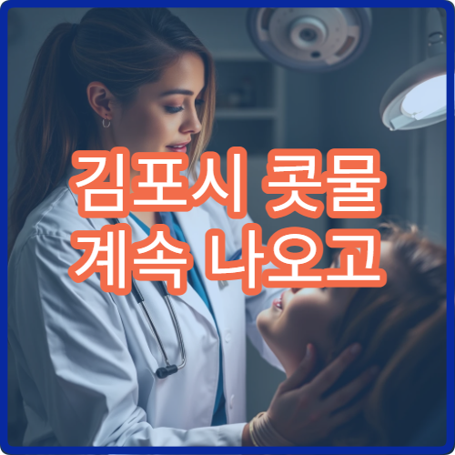 김포시 콧물 계속 나오고 코 막힐 때 진료 병원