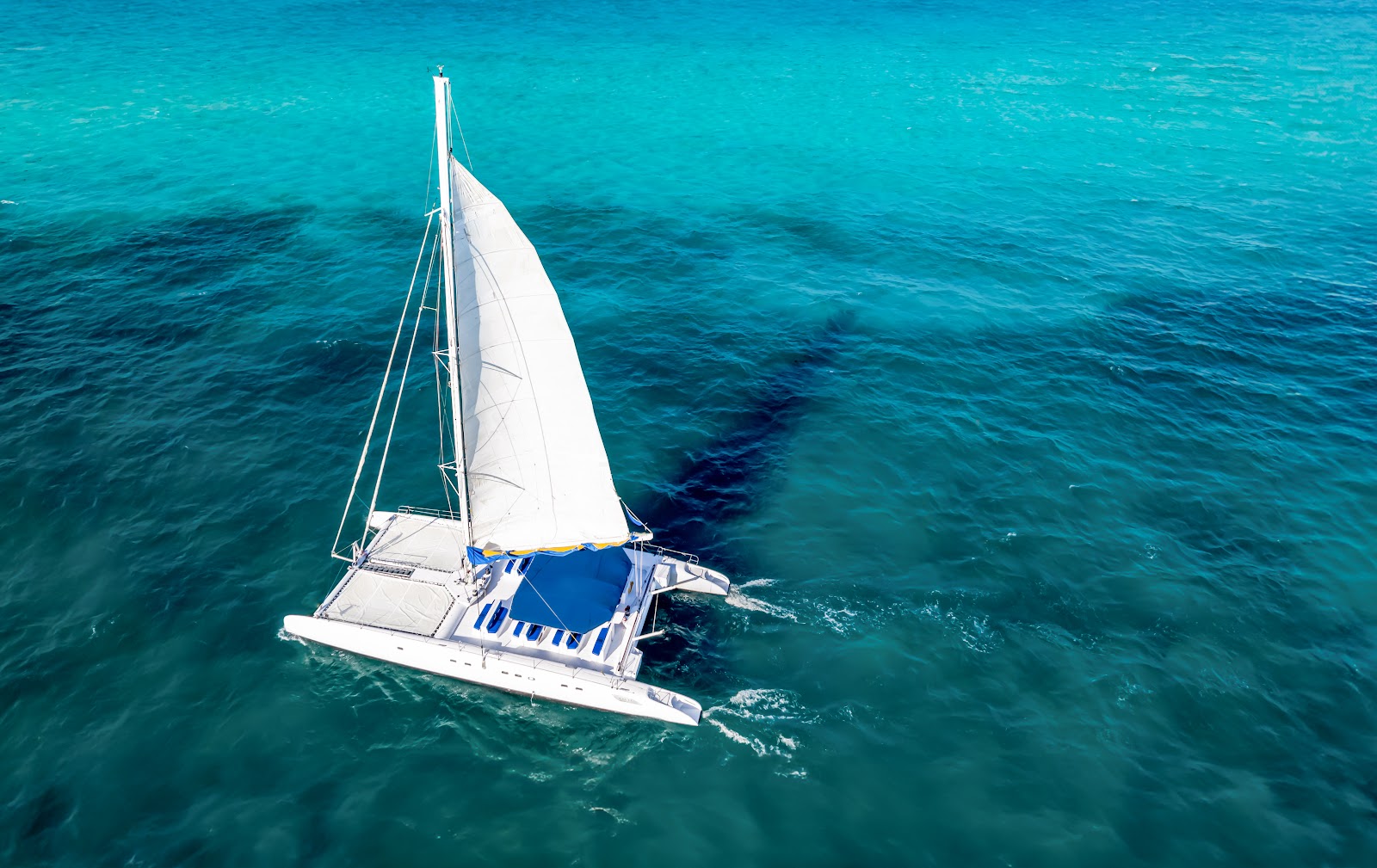 Sea Passion III — image 1 of 5