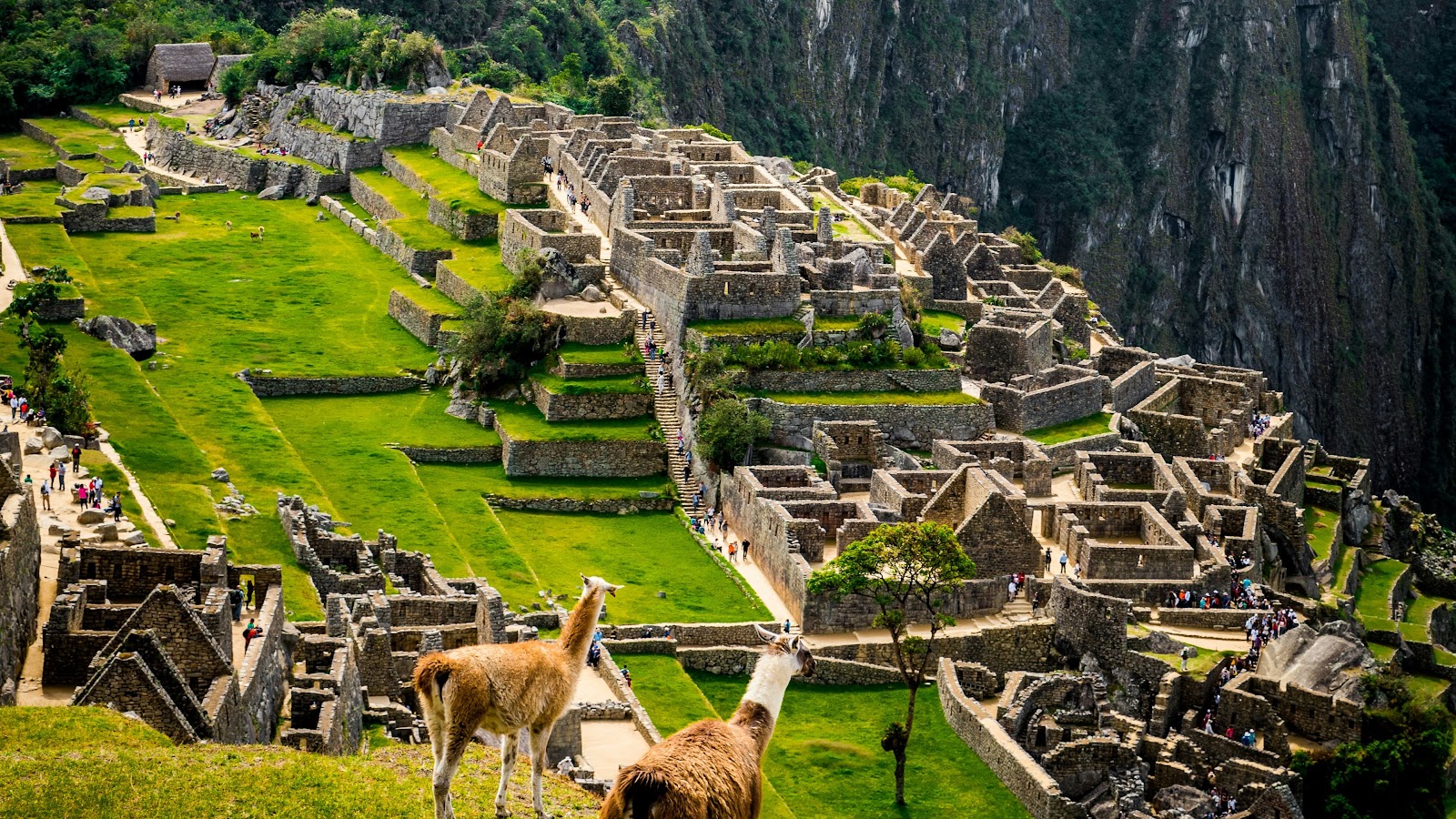 Solución Integral y Sostenible para el Turismo en Machu Picchu