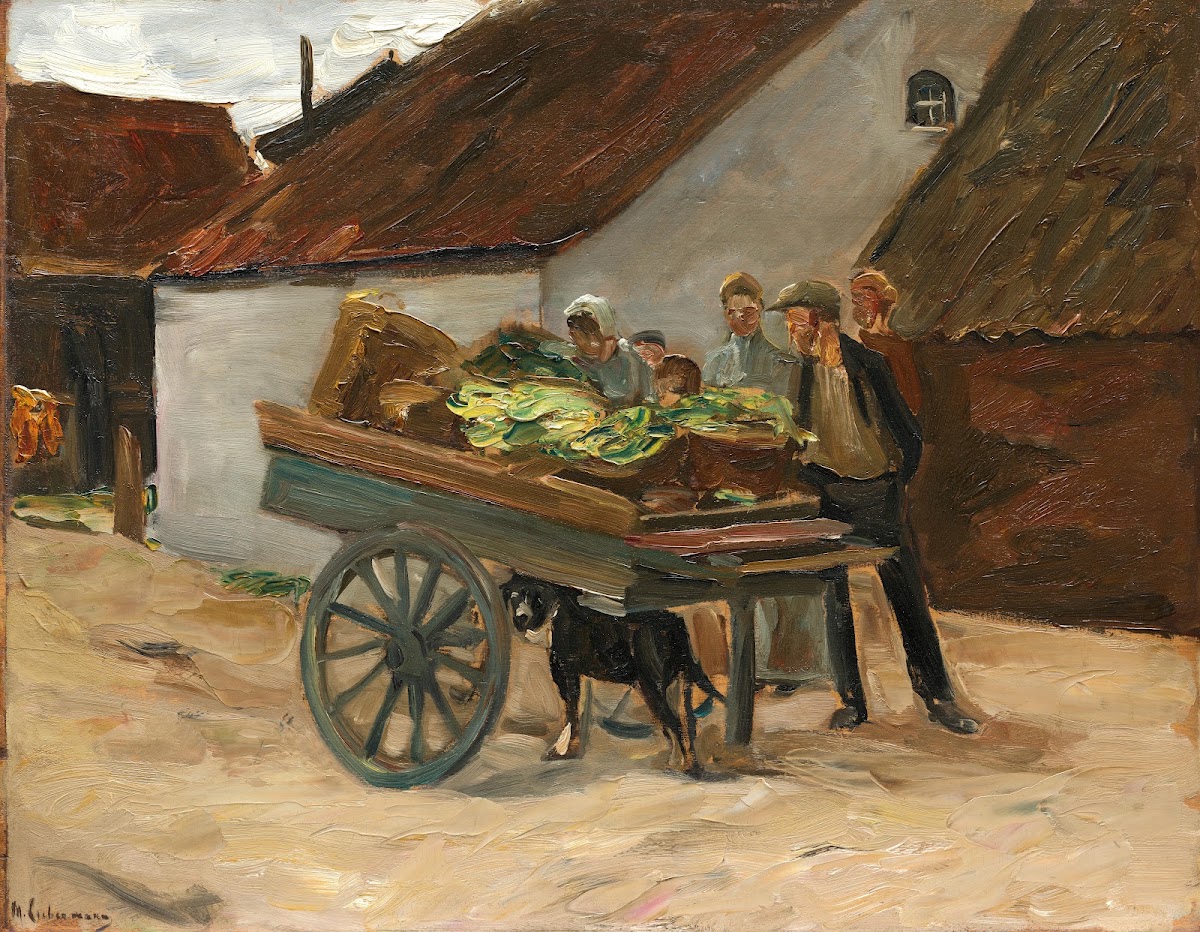 Vegetable barrow  dog cart 1906