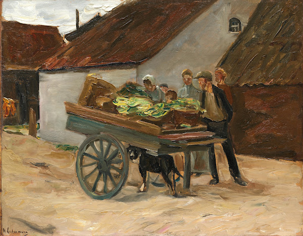Vegetable barrow  dog cart 1906