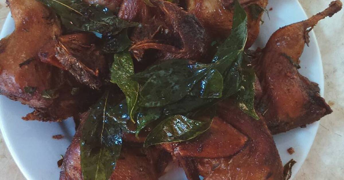 Chim cút quay lá mắc mật