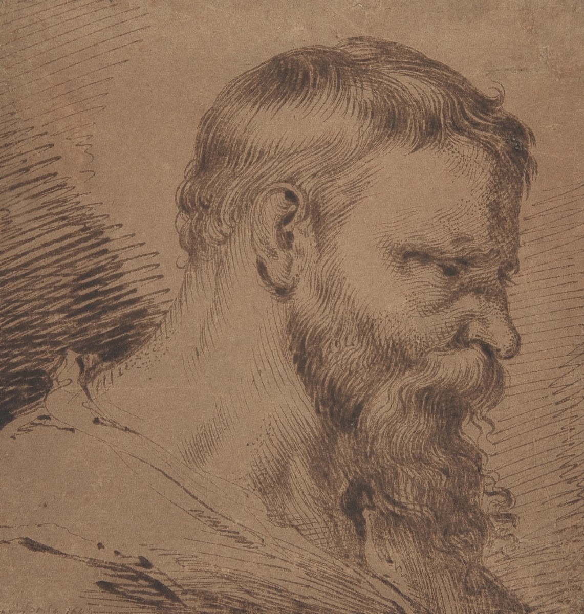 Bearded Head Looking Down to the Right 162030