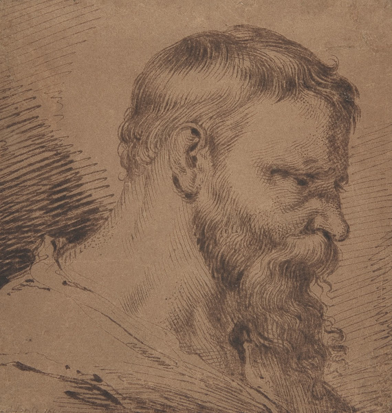 Bearded Head Looking Down to the Right 162030