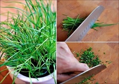 Loại bỏ các lá màu xanh đậm của củ hành rồi cắt nhuyễn. Sau đó rửa sạch và cắt hạt lựu cà chua. Lá hẹ rửa sạch, cắt nhỏ.