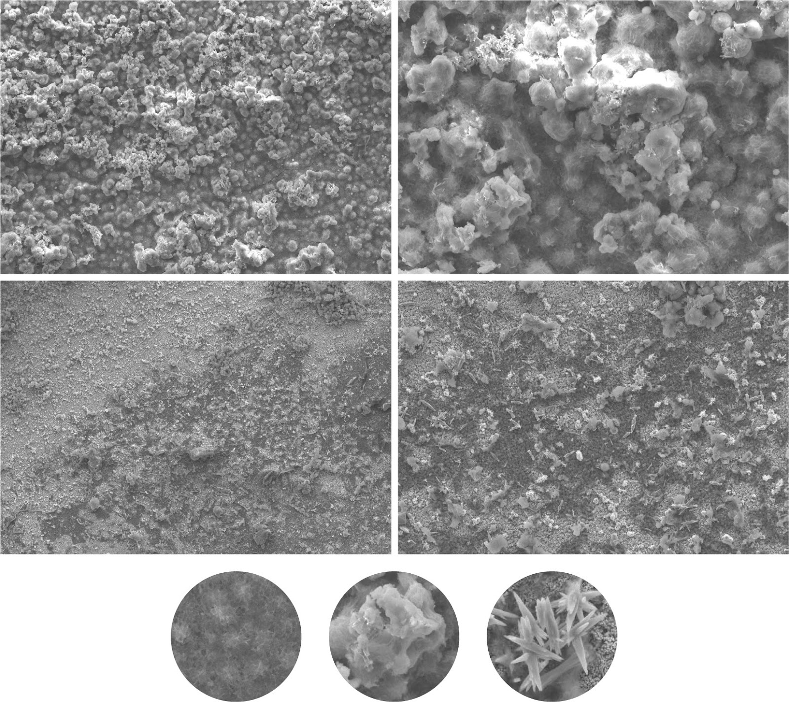 An analytical equation for predicting corrosion rates of biodegradable Zn–0.45Mn–0.2Mg alloy via symbolic regression