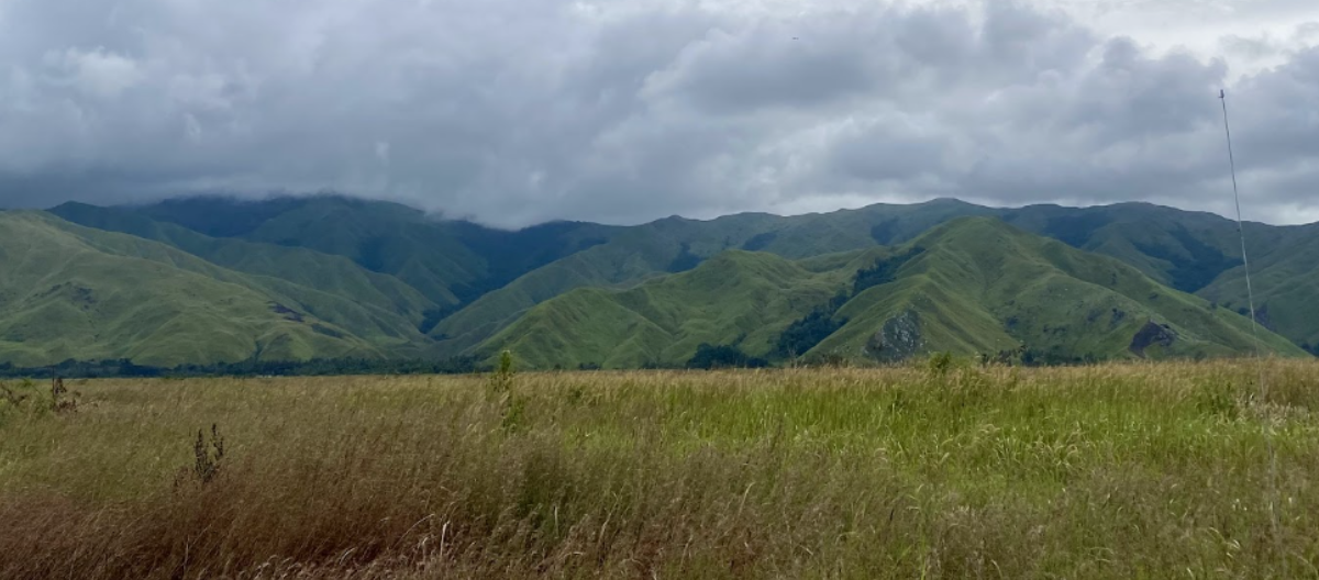 Community member planting trees on the hillside in the Markham Valley