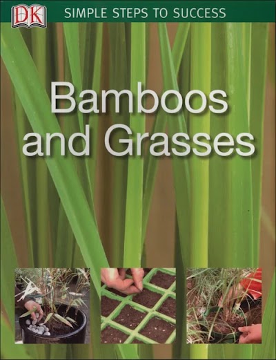 Bamboos & Grasses (SIMPLE STEPS TO SUCCESS)-DK ADULT